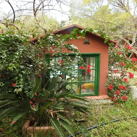 Prázdninový dům La Casa Del Molino De Viento